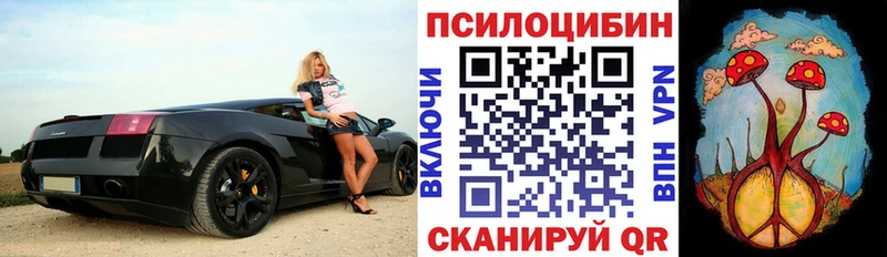 Купить  Гороховец  Галлюциногенные грибы Psilocybe 